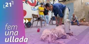Fira Gastronòmica de la Sénia: Demostració d’esquilar ovelles