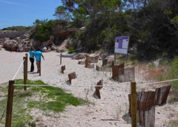 ametlla de mar proteccio dunes