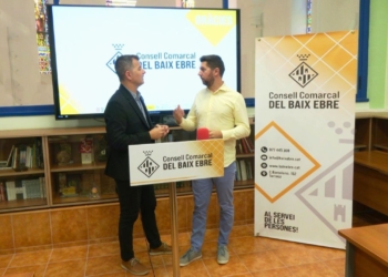 consell baix ebre