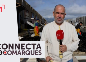Campanya del musclo al delta de l’Ebre