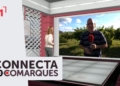 Inici de la campanya de la fruita dolça a la Ribera d’Ebre