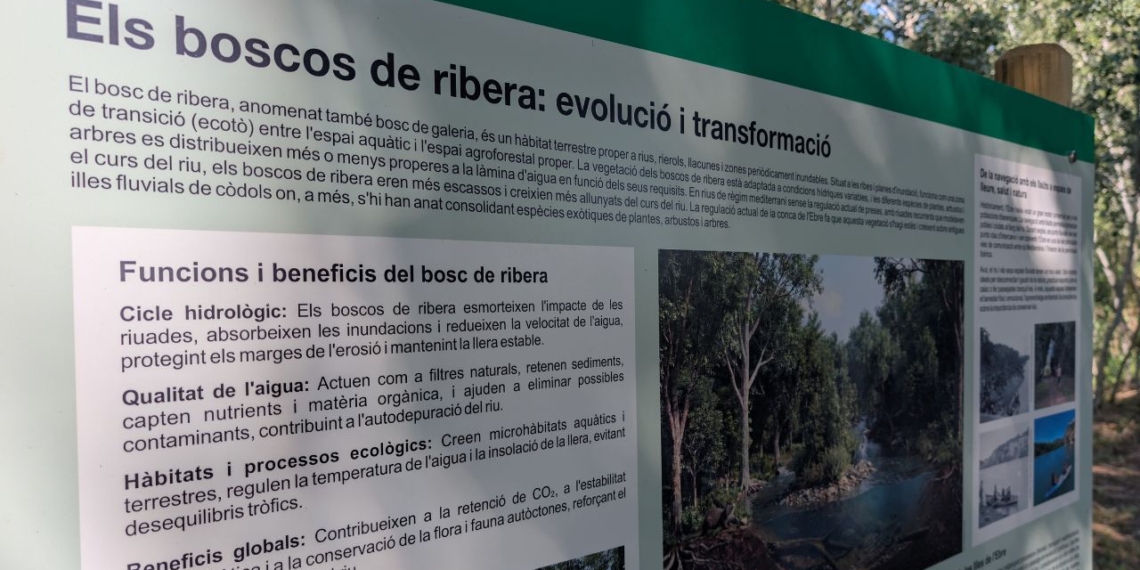 Móra la Nova estrena un itinerari fluvial accessible per posar en valor l’entorn de l’Ebre