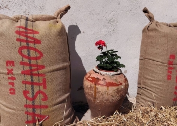 sacs arros montsia