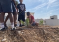 Els nens i nenes de l’Aldea planten flors per millorar el medi ambient 