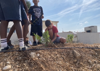 Els nens i nenes de l’Aldea planten flors per millorar el medi ambient 