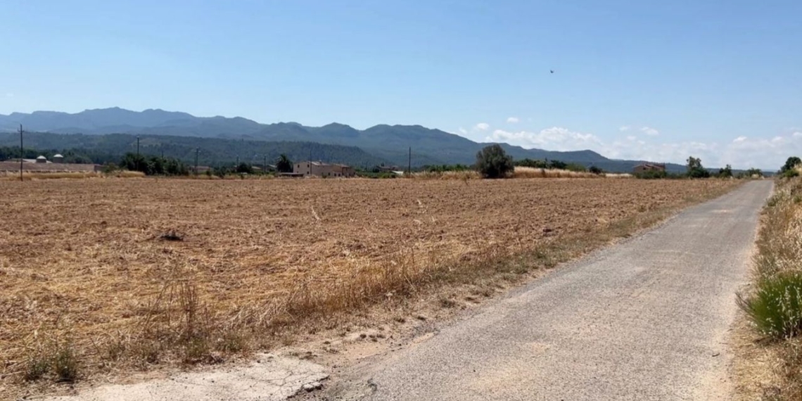 Notícies Móra d'Ebre