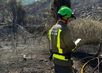 Controlat un incendi de vegetació a la Sénia que ha obligat a desallotjar dos masos