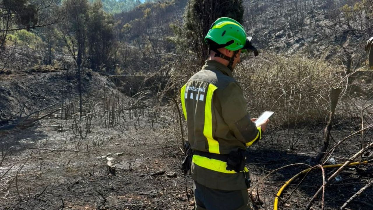 Controlat un incendi de vegetació a la Sénia que ha obligat a desallotjar dos masos