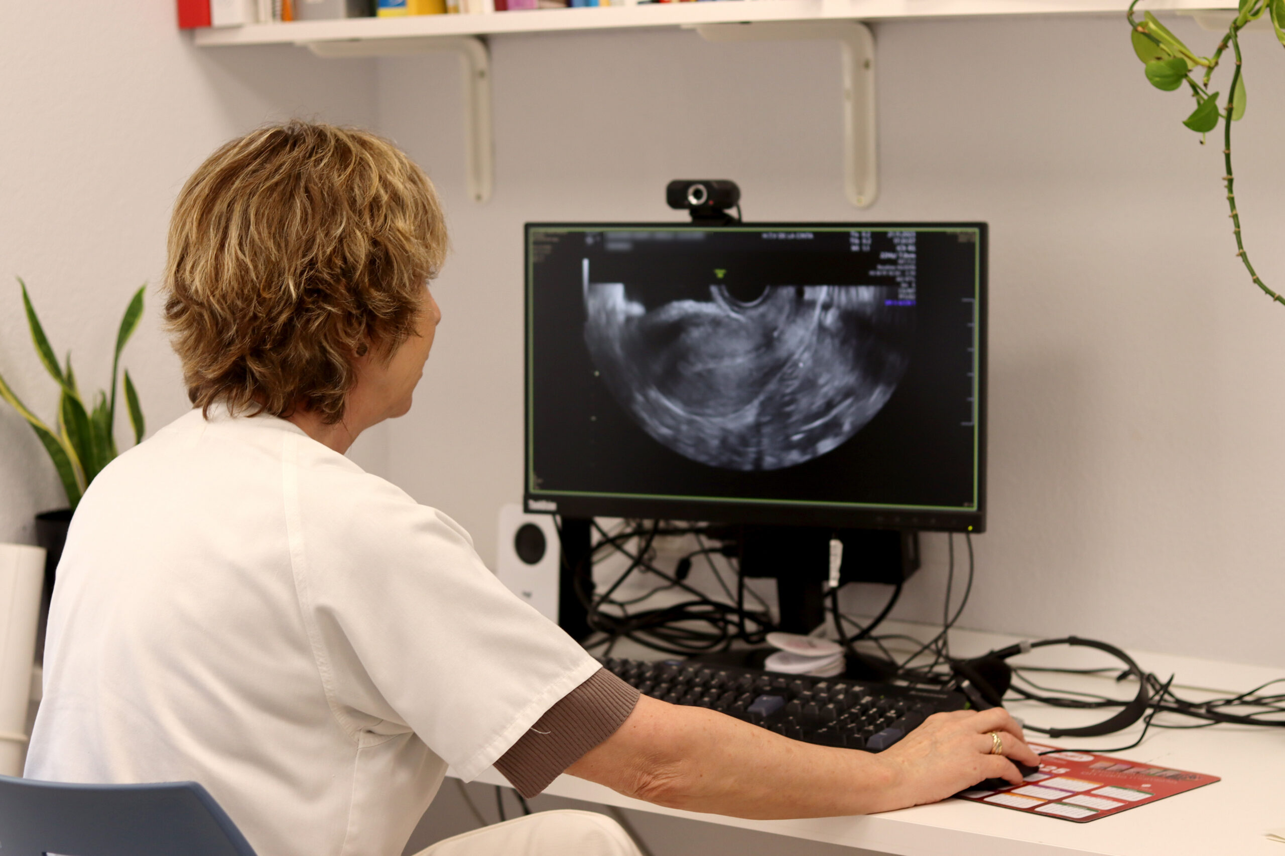 atencio embaras hospital tortosa