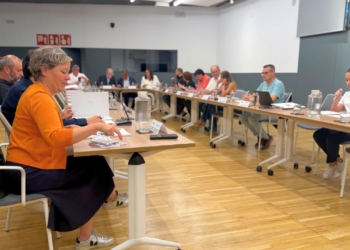 consell economic i social terres de lebre