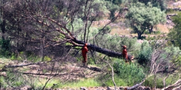incendi pauls operaris neteja