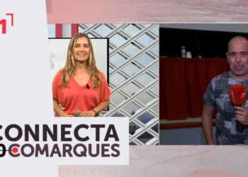 Impacte socioeconòmic d’una gigafactoria