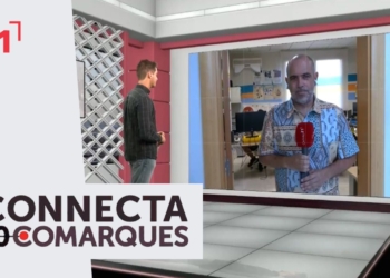 4 de cada 10 joves terraltins de 18 a 24 anys disposen d’estudis superiors