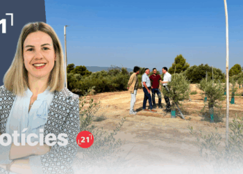 Notícies 21 (29/07/2026)