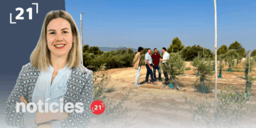 Notícies 21 (29/07/2026)