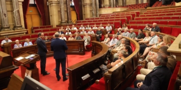 Entitats Municipals Descentralitzades de Catalunya