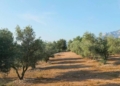 Notícies Terres de l'Ebre