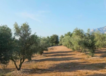 Notícies Terres de l'Ebre