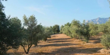 Notícies Terres de l'Ebre