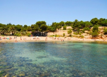 Notícies Ametlla de Mar