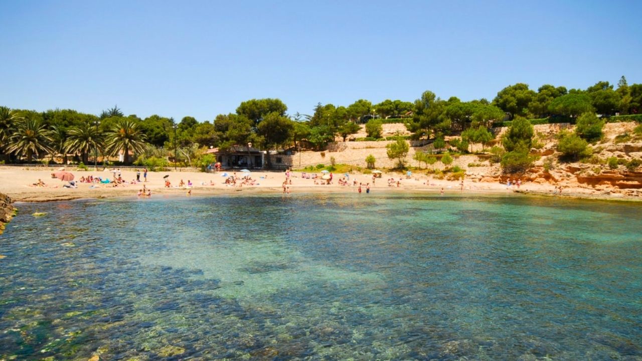 Notícies Ametlla de Mar