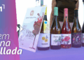 Fira Vine de Vins de l’Ampolla