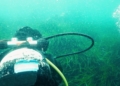 buceo ametlla de mar