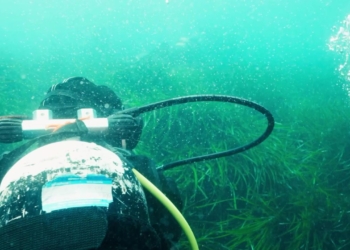 buceo ametlla de mar