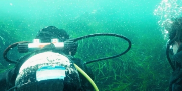 buceo ametlla de mar