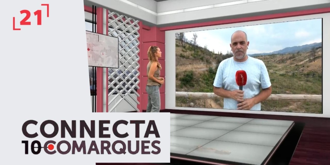 Com han canviat els boscos un any després de l’incendi?