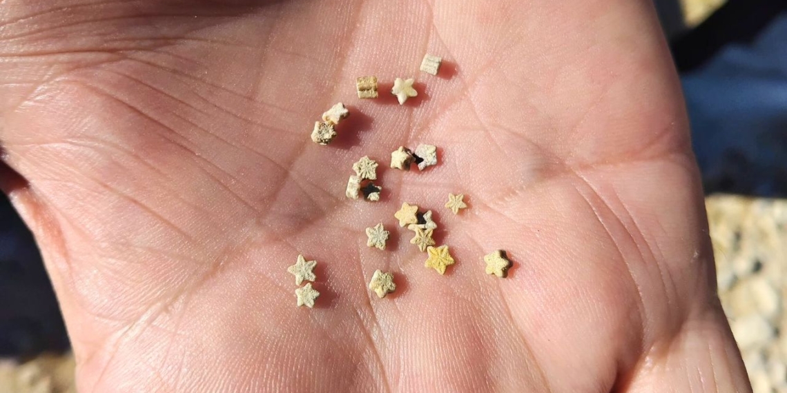 estrelletes mig cami tortosa