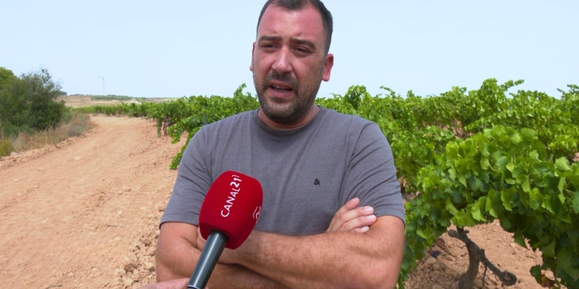 marc paladella unio pagesos