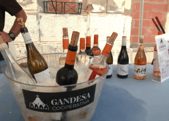 El Perelló celebra els 30 anys de la Xim Xim Mig Grau en una multitudinària Festa Jove 