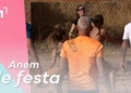 festes majors ascó