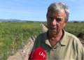 Jose Pedro Tomas