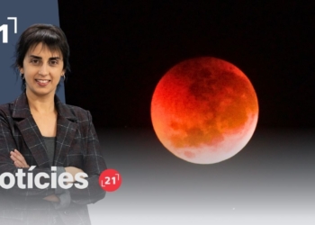 Notícies 21 (27/08/2026)