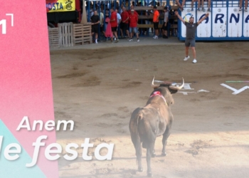 Activitats Taurines de les Festes Majors d’Amposta 2026