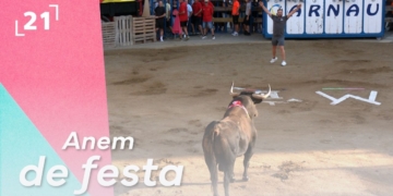 Activitats Taurines de les Festes Majors d’Amposta 2026