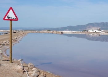 avis proteccio aus salines
