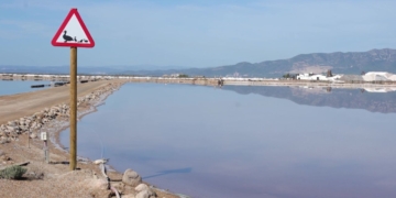 avis proteccio aus salines