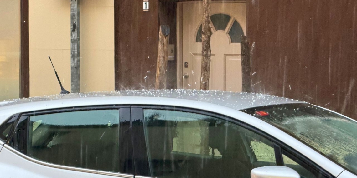 Pluja intensa acompanyada de calamarsa