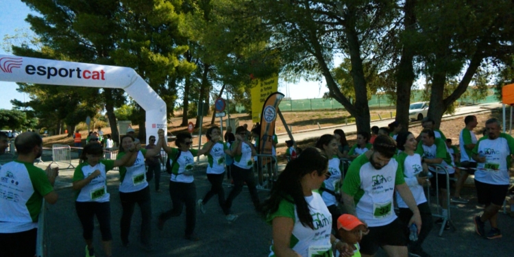 L’Ampolla reviu la tradició de la sega de l’arròs i dona el tret de sortida de les Jornades Gastronòmiques