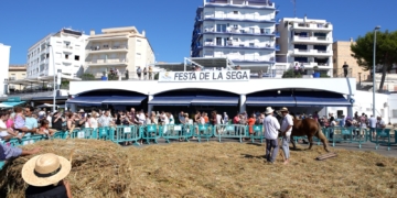L’Ampolla reviu la tradició de la sega de l’arròs i dona el tret de sortida de les Jornades Gastronòmiques