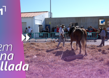 Festa de la sega de l’Ampolla