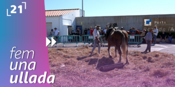 Festa de la sega de l’Ampolla
