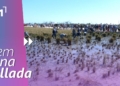 Festa de la Sega de Deltebre