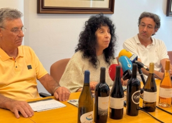 Notícies Ribera d'Ebre