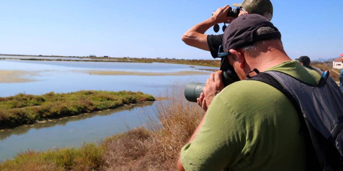 Delta Birding Festival