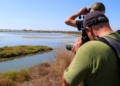 Delta Birding Festival