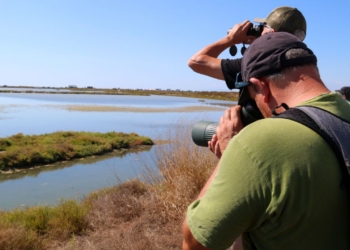 Delta Birding Festival